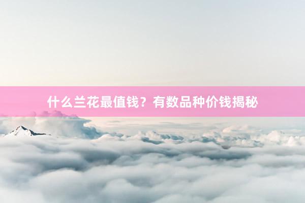 什么兰花最值钱?有数品种价钱揭秘