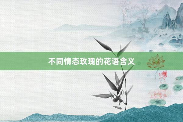 不同情态玫瑰的花语含义